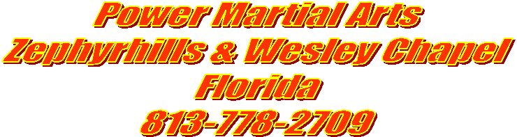 Power Martial Arts
Zephyrhills & Wesley Chapel
Florida
813-778-2709

