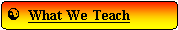 Rounded Rectangle: [  What We Teach